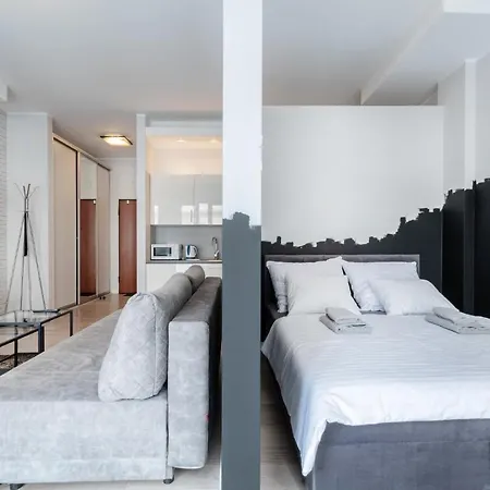 Old Town Spot Apartment Poznan